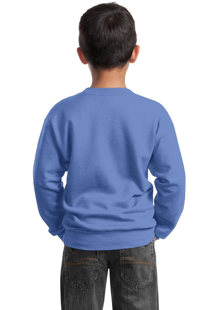 Youth Core Fleece Crewneck Sweatshirt - Carolina Blue