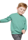 Rabbit Skins 3317 - Toddler Fleece Sweatshirt - Saltwater