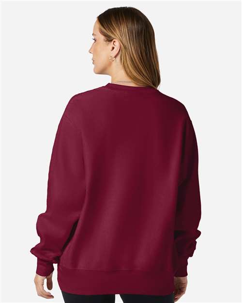 Champion S149 Cardinal — on model back