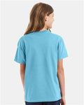 Hanes 5450 Blue Horizon — on model back