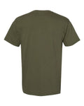 Comfort Colors 6030 Sage — back