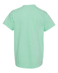 Comfort Colors 9018 Island Reef — back