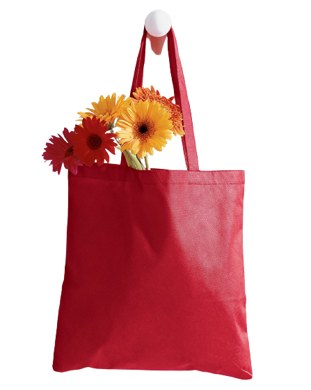 Canvas Tote - Red