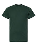 LAT 6101 Forest — front