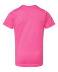 LAT 6101 Raspberry — back