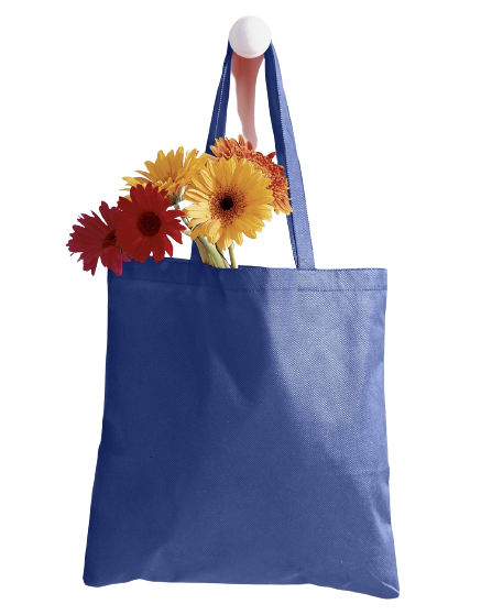 Canvas Tote - Royal