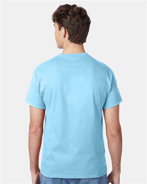Hanes 5250 Aquatic Blue — on model back