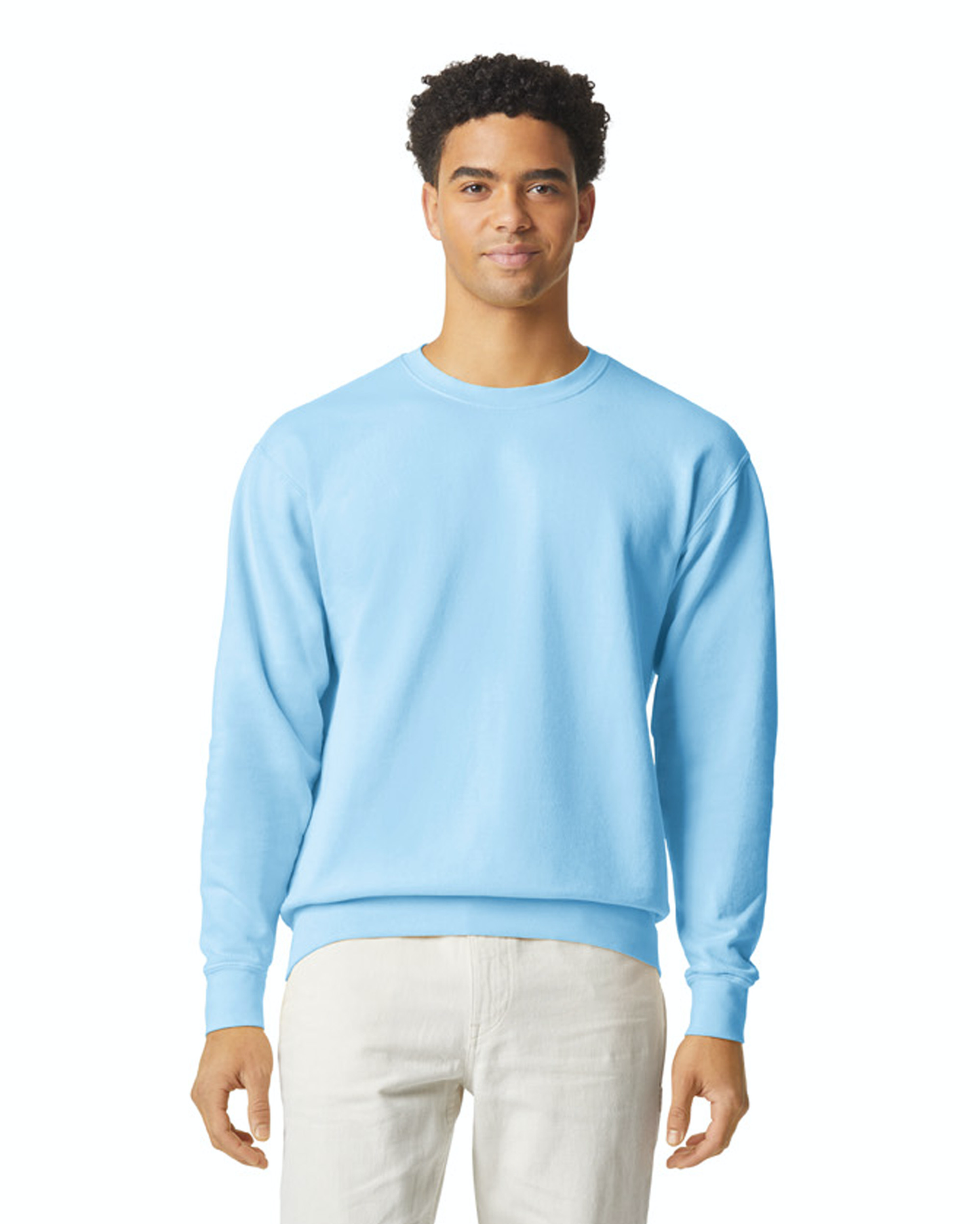 Unisex Lighweight Cotton Crewneck Sweatshirt - Hydrangea