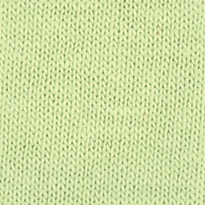 Softstyle Hoodie - Pistachio