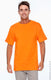 Hanes 5250T - Authentic Short Sleeve Tee - High Viz Safety Orange