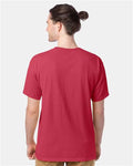 ComfortWash by Hanes GDH100 Crimson Fall — on model back