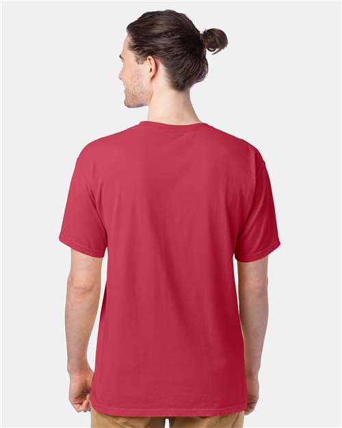 ComfortWash by Hanes GDH100 Crimson Fall — on model back