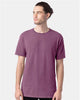 Purple Plm Raisn