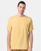 Summer Squash