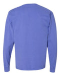 ComfortWash by Hanes GDH200 Deep Forte Blue — back