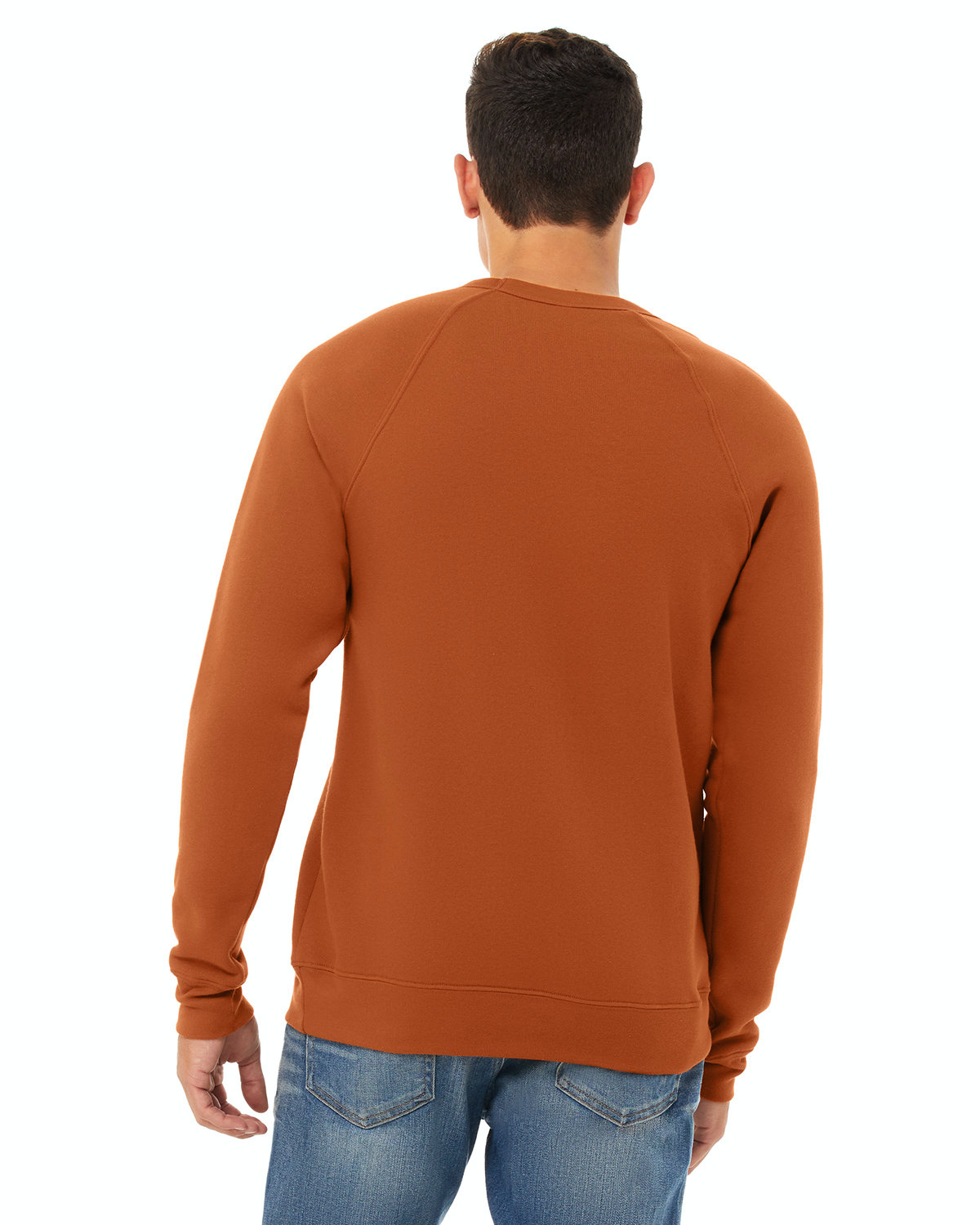 Unisex Sponge Fleece Raglan Sweatshirt - Autumn