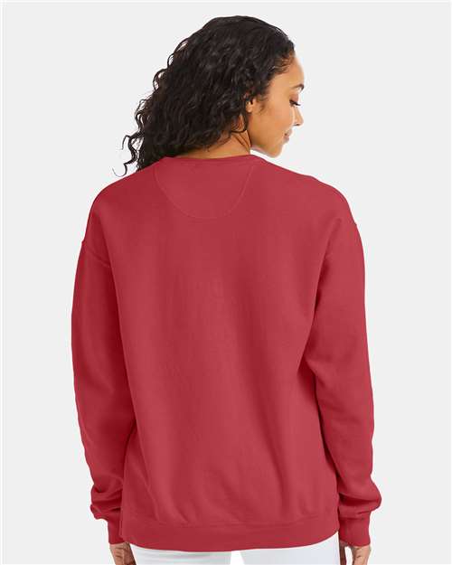 ComfortWash by Hanes GDH400 Crimson Fall — on model back