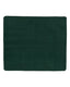Alpine Fleece LB8711 - Value Fleece Blanket - Forest Green