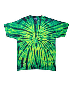Youth 100% Cotton T-Shirt - Wild Spider
