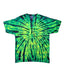 Tie-Dye CD100Y - Youth 100% Cotton T-Shirt - Wild Spider