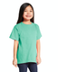 Comfort Colors C9018 - Youth Midweight RS T-Shirt - Island Reef