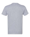 Next Level 3605 Heather Grey — back
