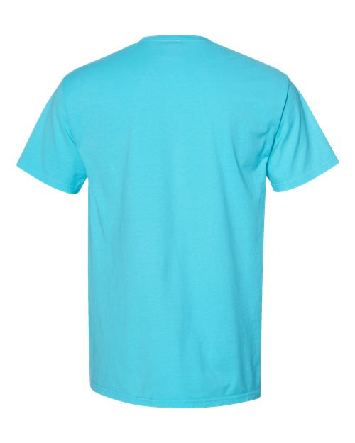 ComfortWash by Hanes GDH100 Freshwater — back
