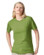 American Apparel 2001CVC - Unisex CVC T-Shirt - Heather Nephrite