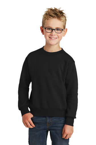 Youth Core Fleece Crewneck Sweatshirt - Jet Black