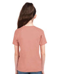 Next Level 3310 Desert Pink — on model back