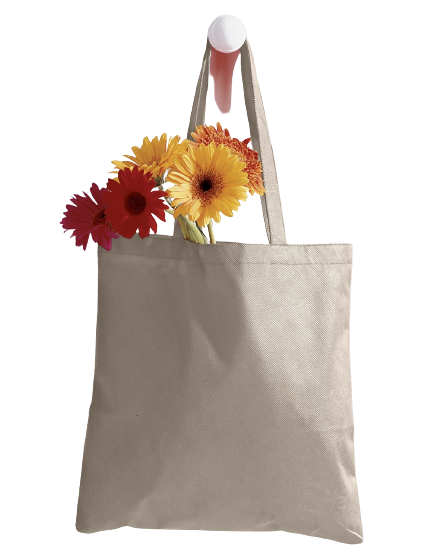 Canvas Tote - Natural