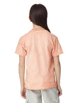 Colorblast Youth Heavyweight T-Shirt - Umber