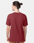 ComfortWash by Hanes GDH100 Cayenne — on model back