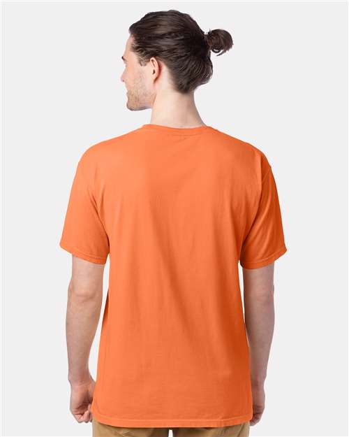 ComfortWash by Hanes GDH100 Horizon Orange — on model back