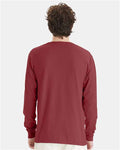 ComfortWash by Hanes GDH200 Cayenne — on model back
