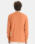 ComfortWash by Hanes GDH200 Horizon Orange — on model back