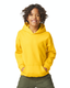 Gildan SF500B - Youth Softstyle Midweight Fleece Hoodie - Daisy