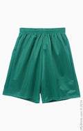 Unisex Nine Inch Inseam Mesh Short - Forest Green