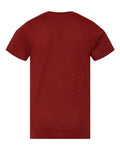 LAT 6101 Cardinal Blackout — back