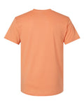 LAT 6901 Sunset — back