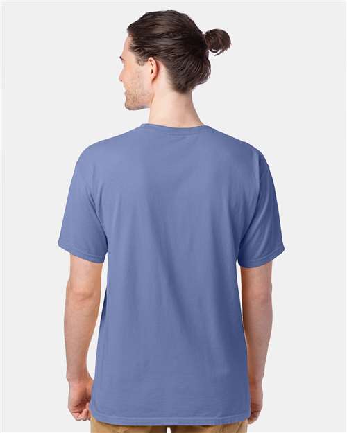 ComfortWash by Hanes GDH100 Frontier Blue — on model back