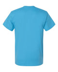 Champion T425 Blue Lagoon — back
