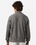 Champion S149 Stone Grey — on model back