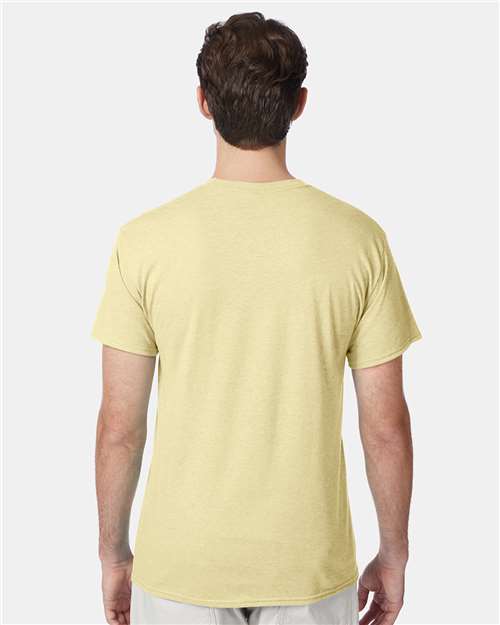 Hanes 42TB Lemon Meringue Heather — on model back