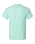 Hanes 42TB Ice Fall Heather — back