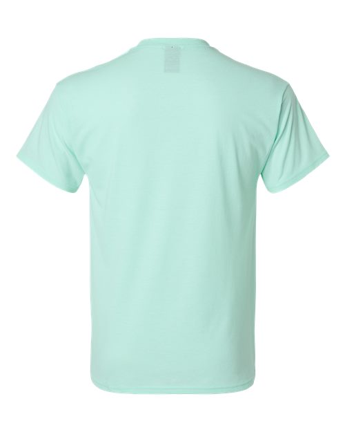 Hanes 42TB Ice Fall Heather — back