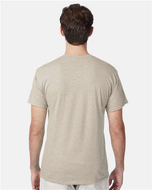 Hanes 42TB Sand Heather — on model back