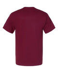 Champion T425 Cardinal — back