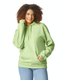 Gildan SF500 - Softstyle Hoodie - Pistachio