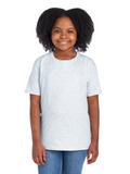 Youth HD Cotton™ T-Shirt - Ash